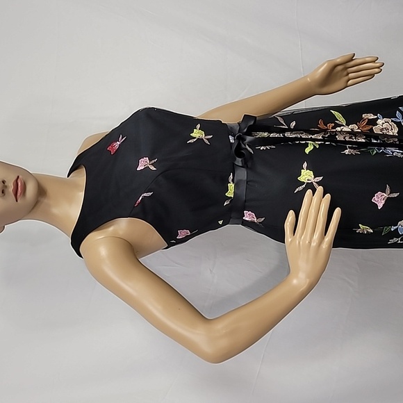 Alex Evenings Women's Long  Sleeveless Embroidered A Line Dress - Picture 6 of 13